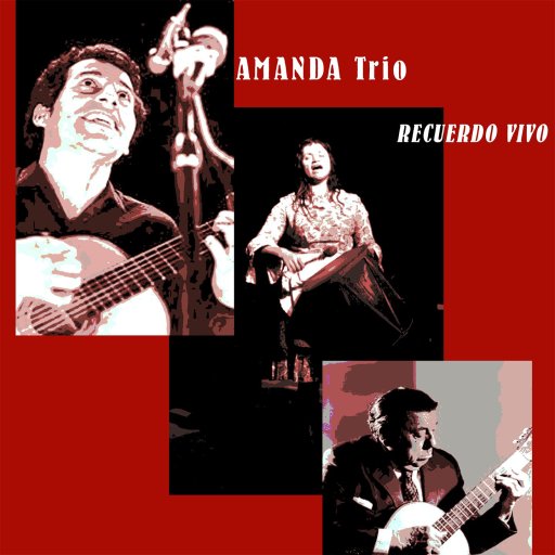 AMANDA Trio